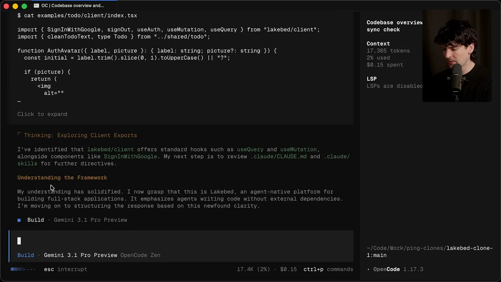 Gemini inspecting a codebase
