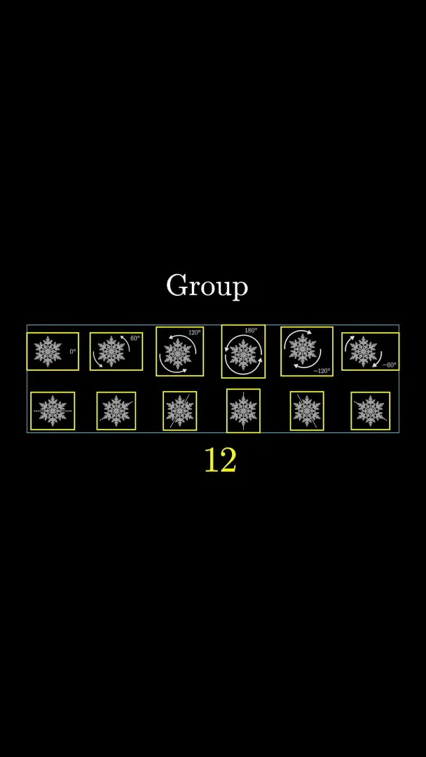 Twelve snowflake symmetries