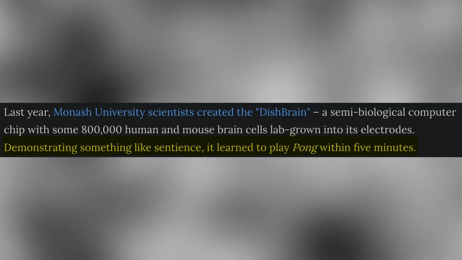 Reporting on the DishBrain experiment