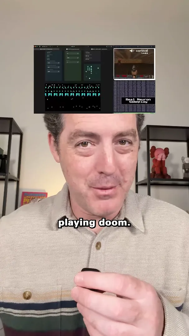 Neural activity and Doom display