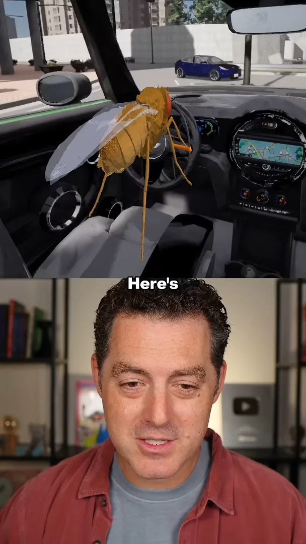 A fly in a virtual car
