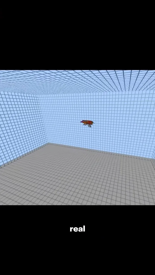 A fly in a block-based virtual space
