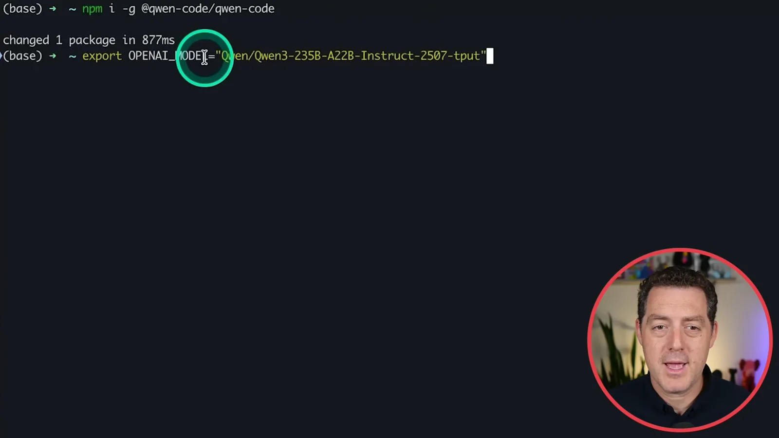 Qwen Code setup