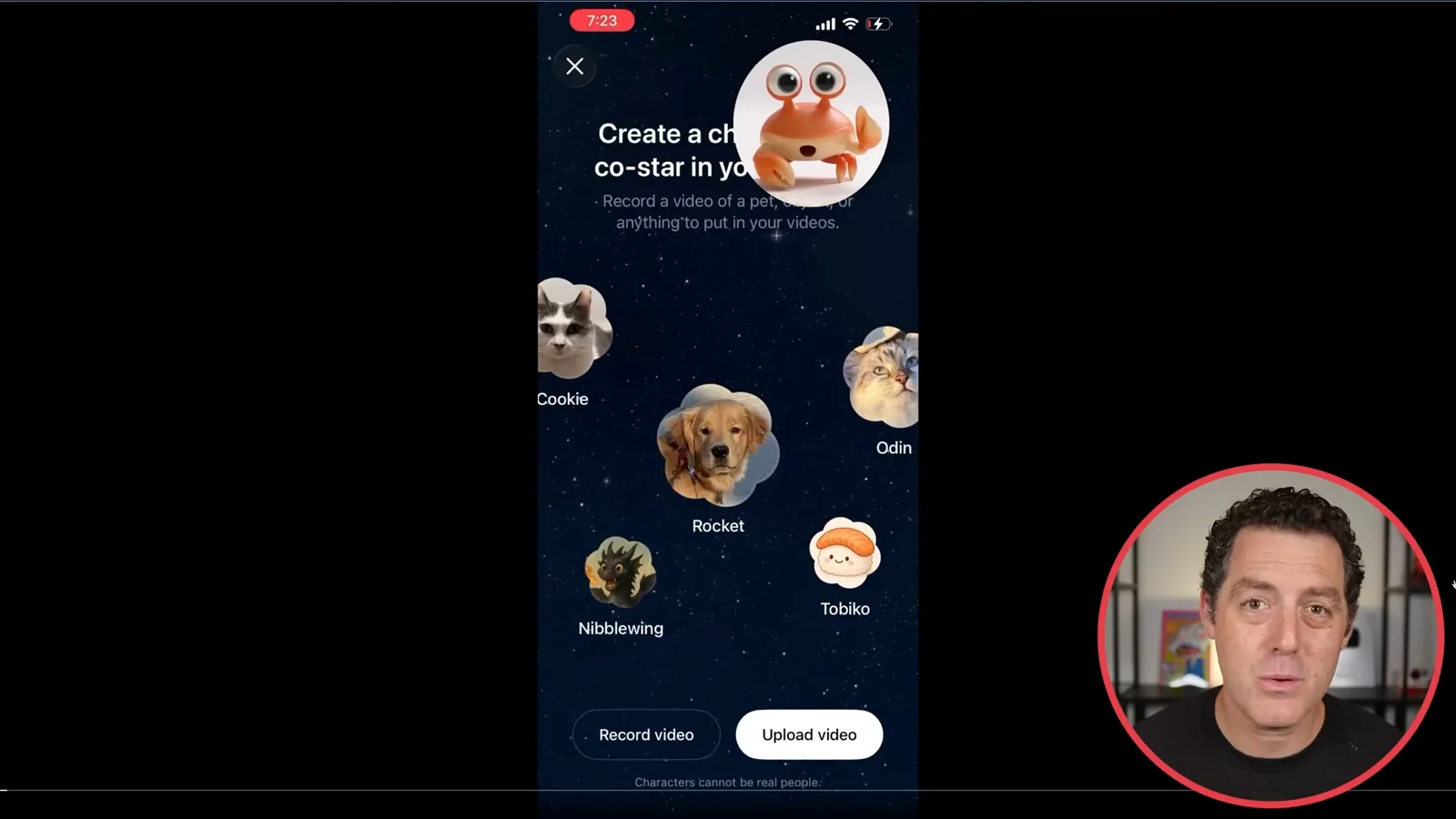 Sora character cameo interface