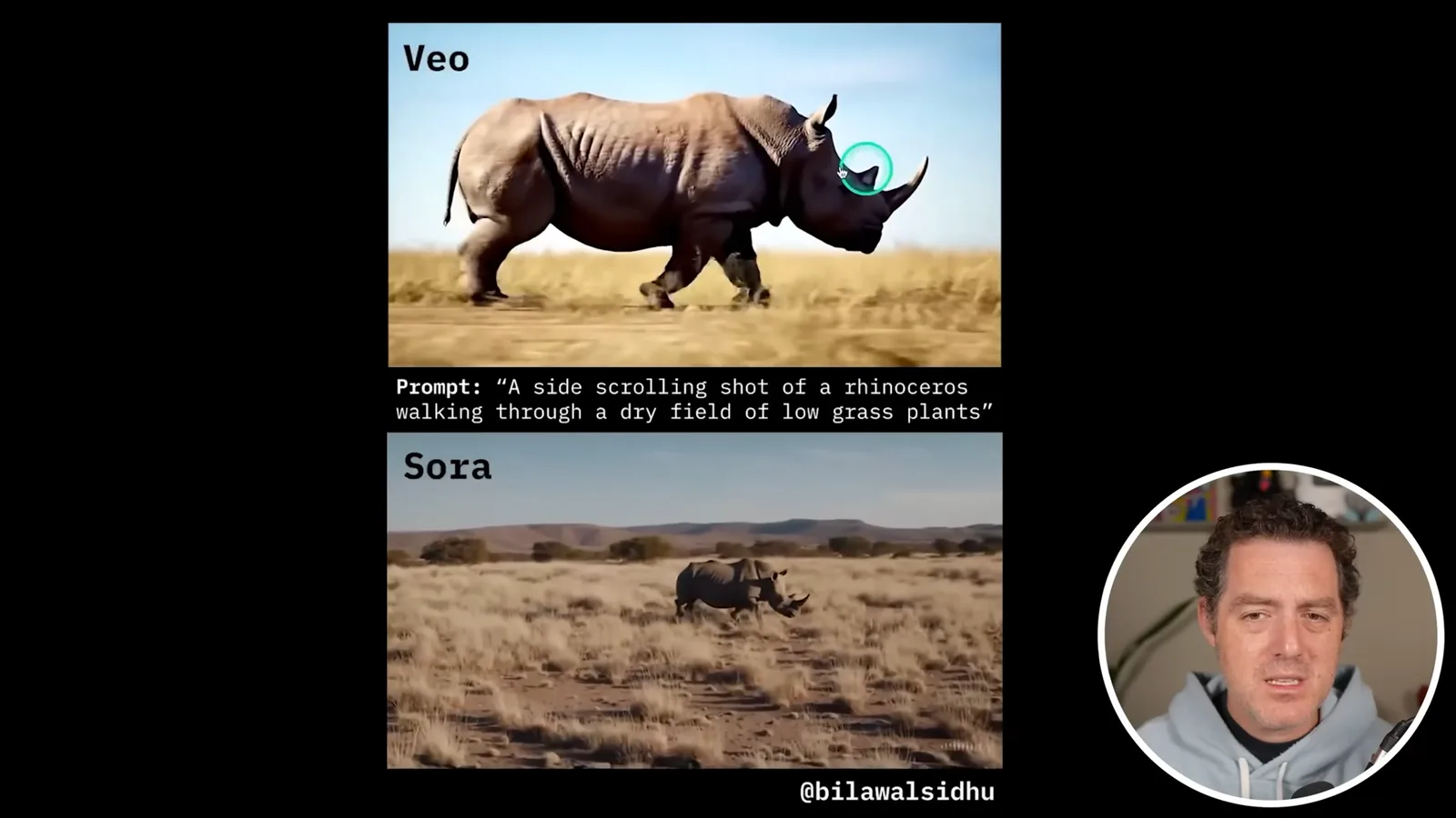 Selected rhinoceros comparison