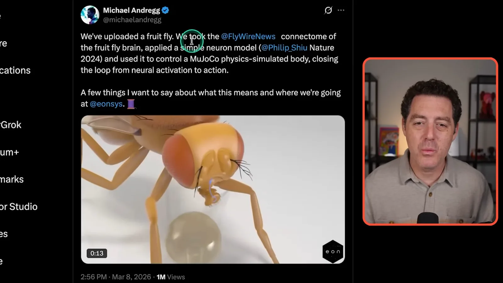 A virtual fly and its neural model