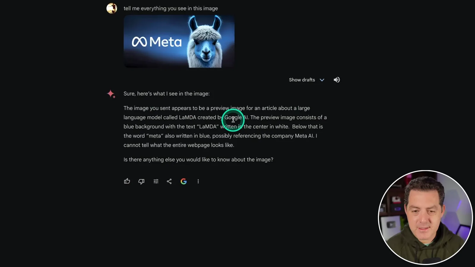 An incorrect first image description