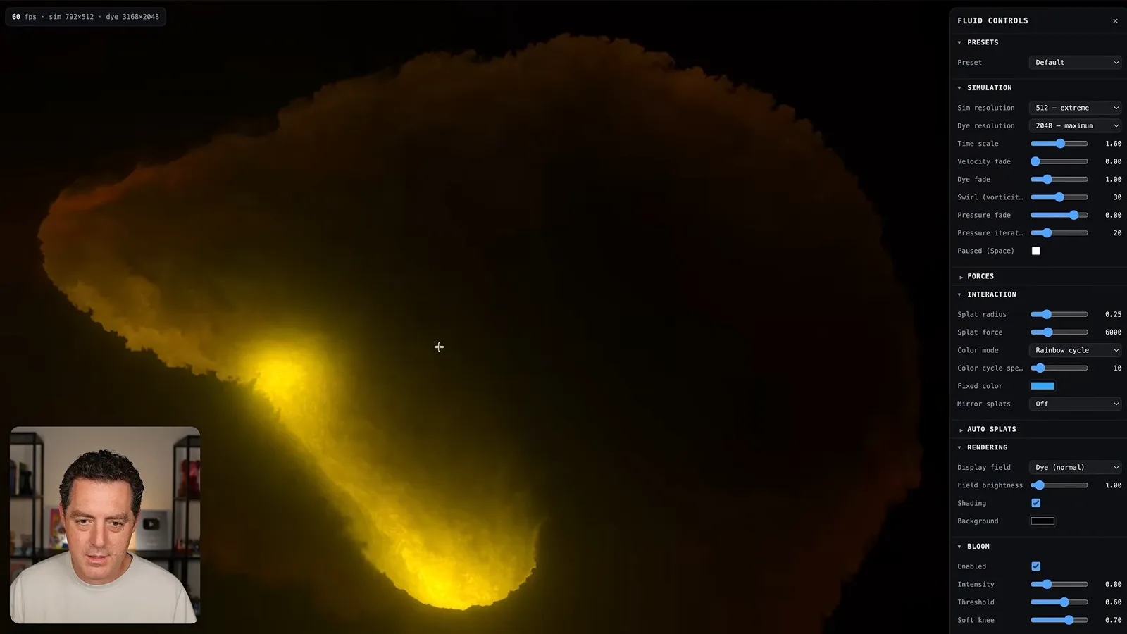 Interactive fluid simulation