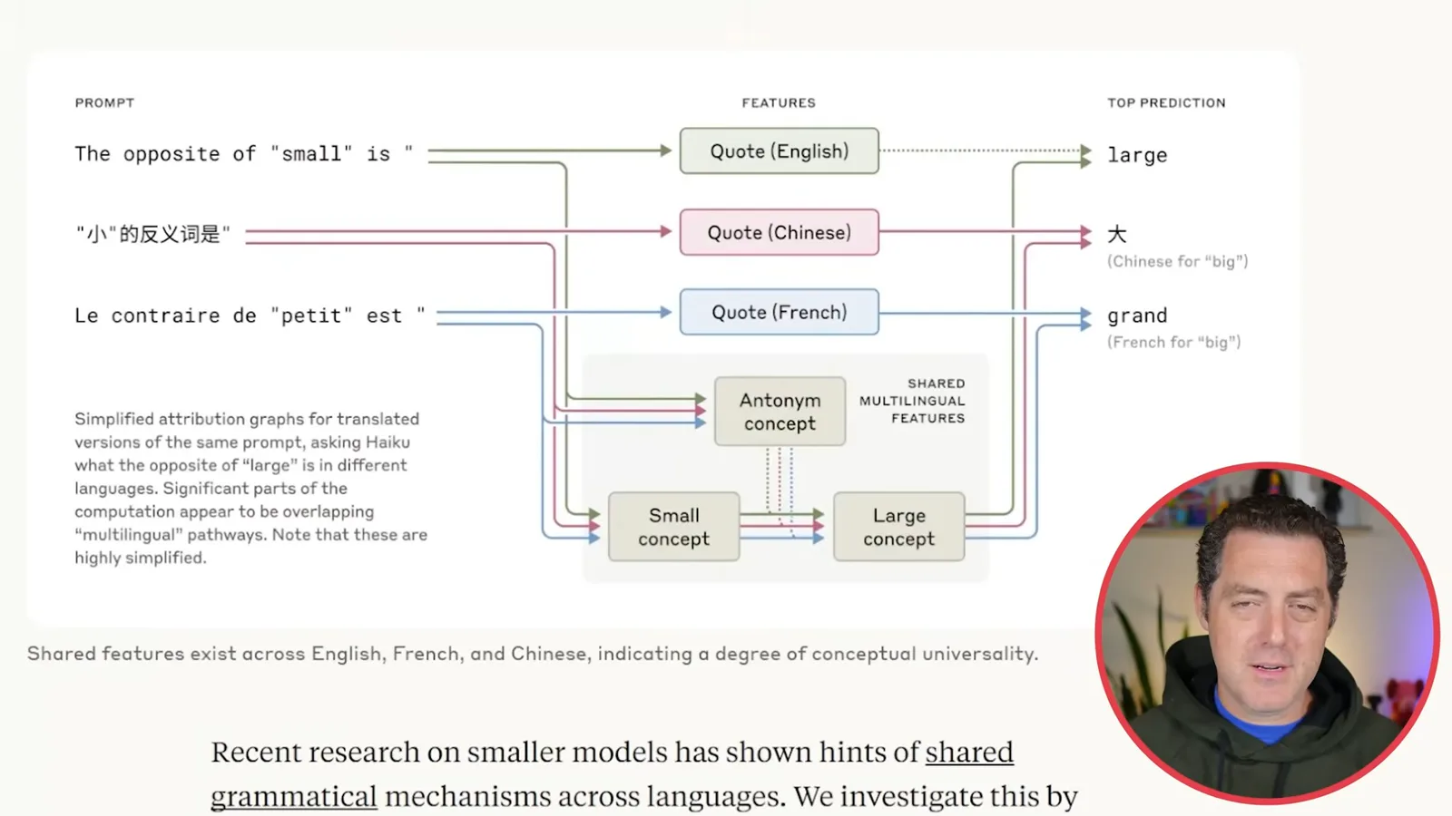 Shared multilingual features