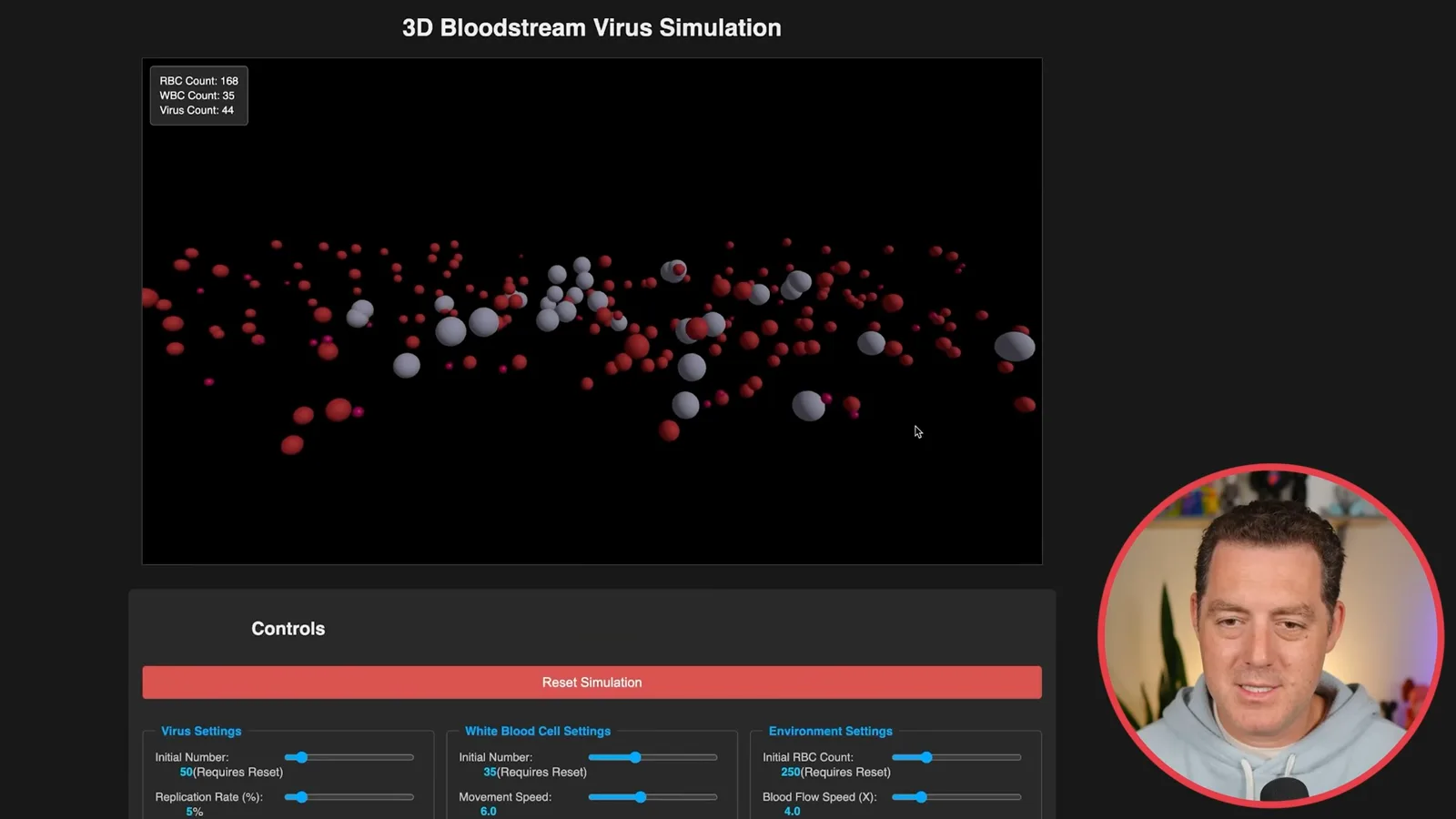 3D toy bloodstream visualization