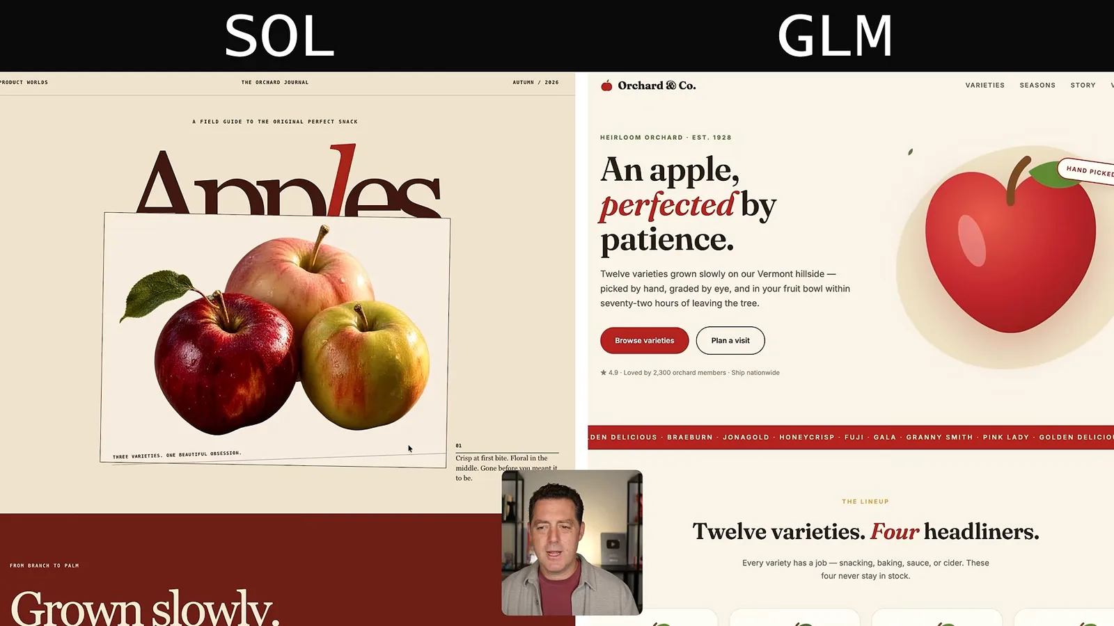 Apple website comparison