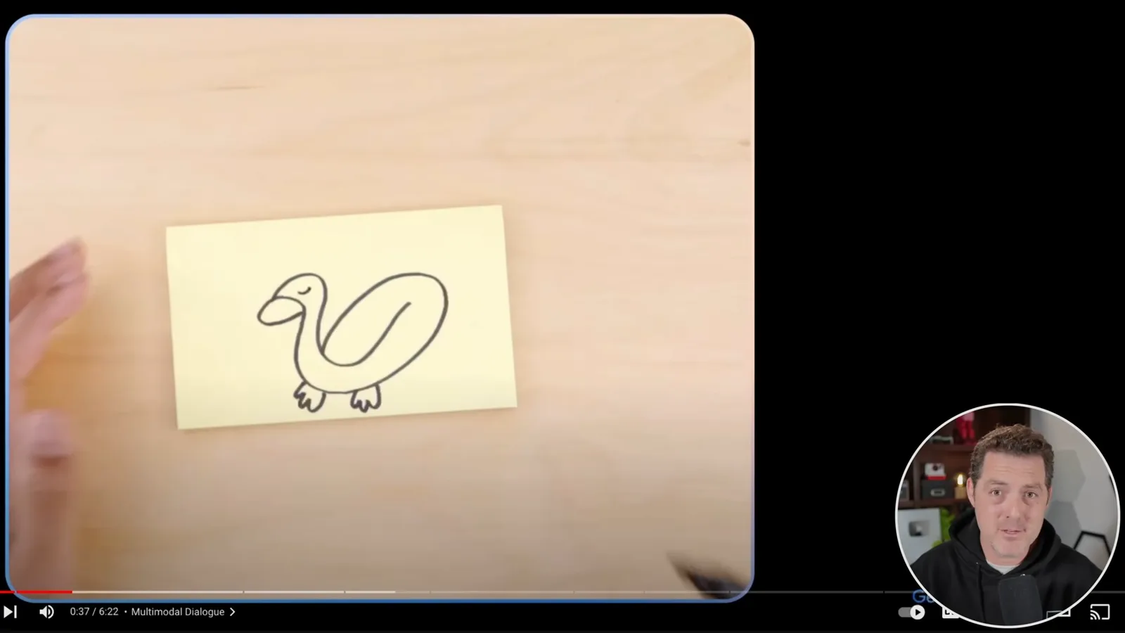 Edited duck demonstration