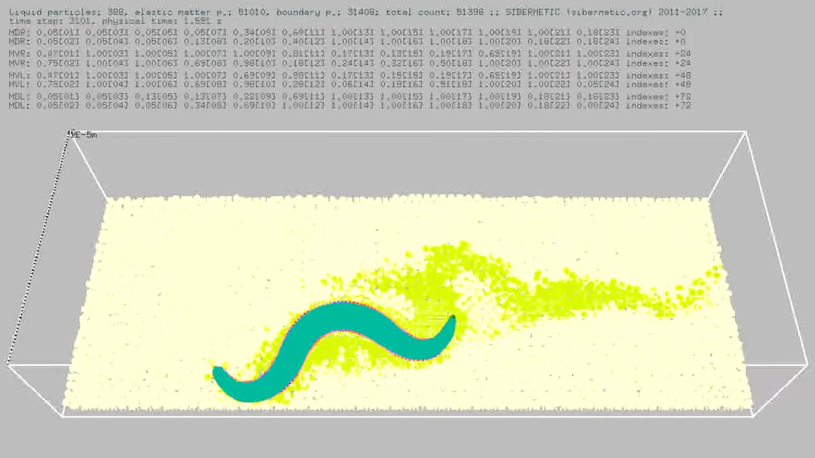 Worm-model simulation display