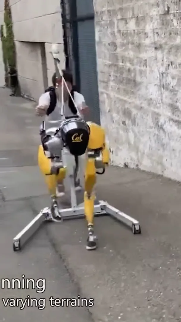 The outdoor robot demonstration