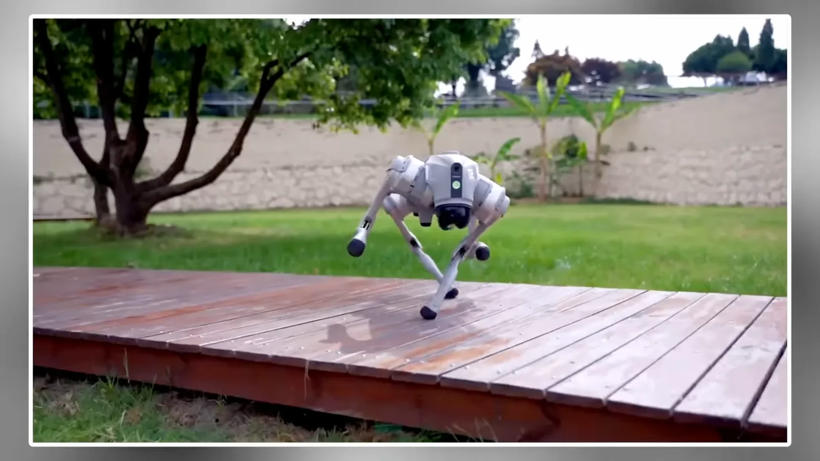 Unitree's quadruped robot