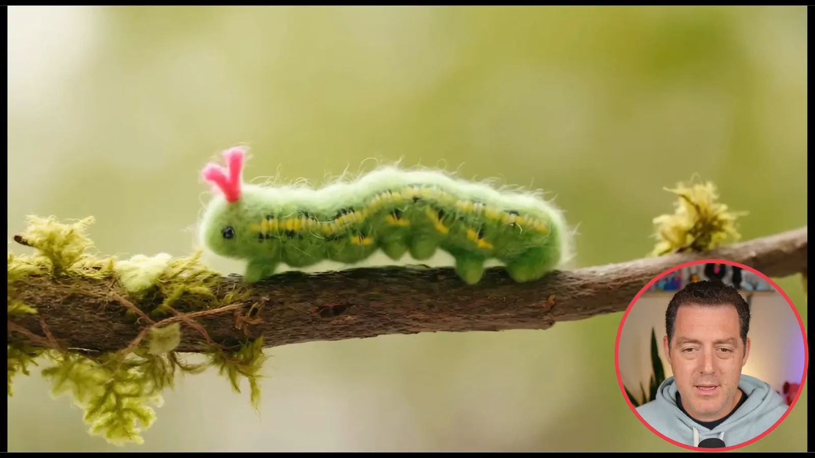 Fabric-styled animal sequence