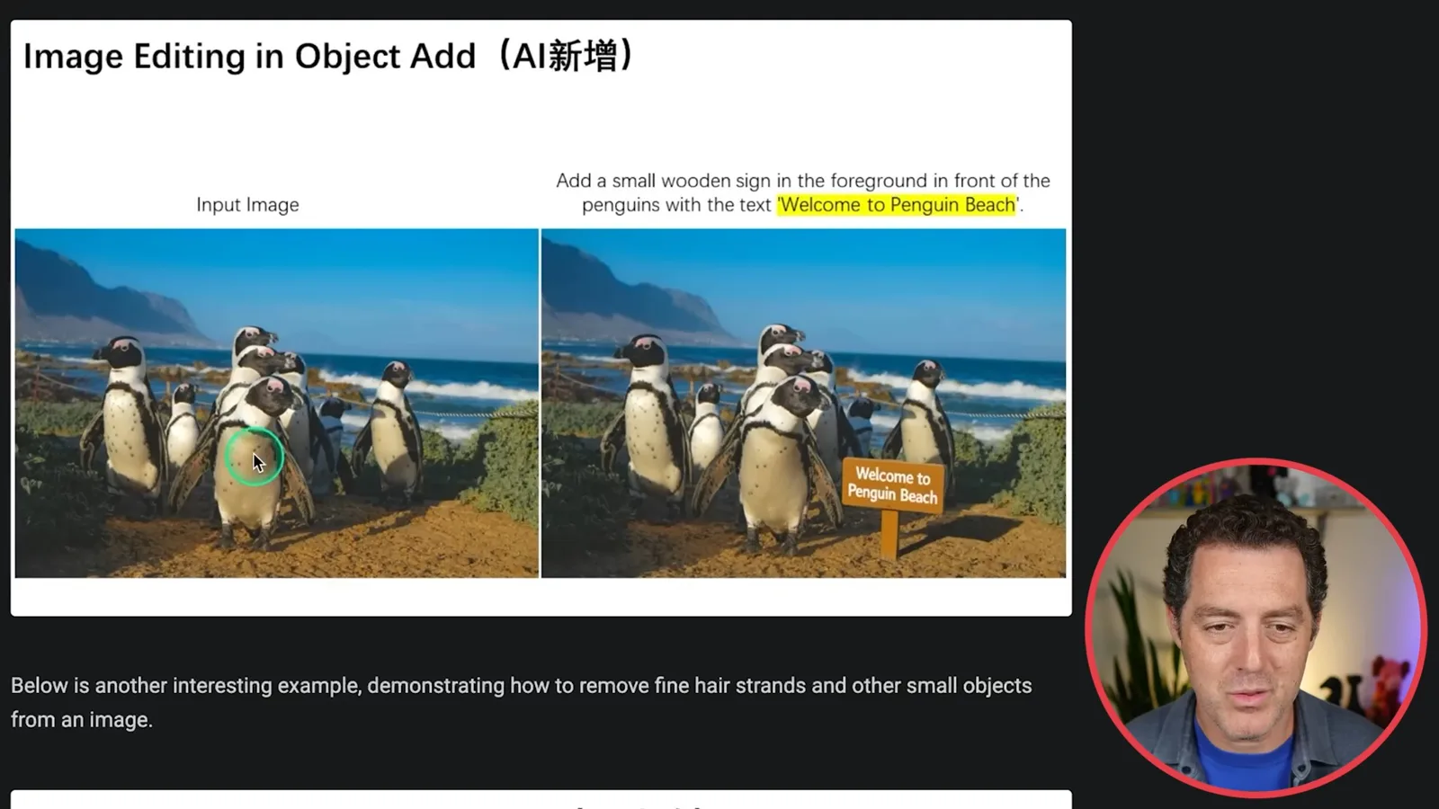 Qwen-Image-Edit object addition