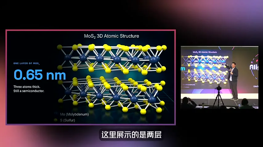 A single MoS₂ layer