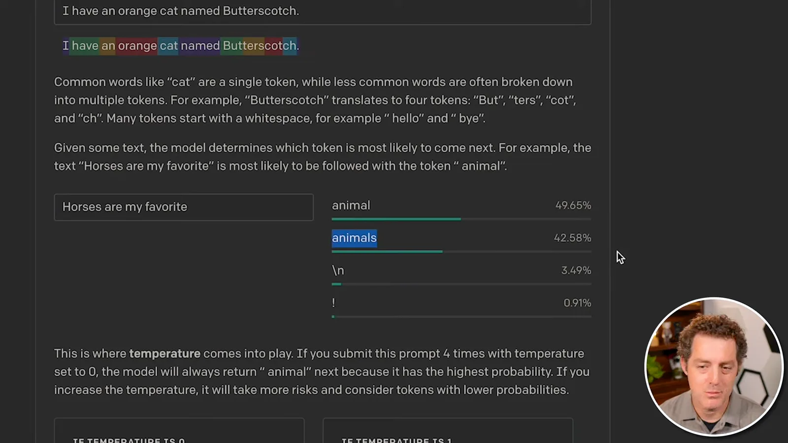 Next-token probabilities