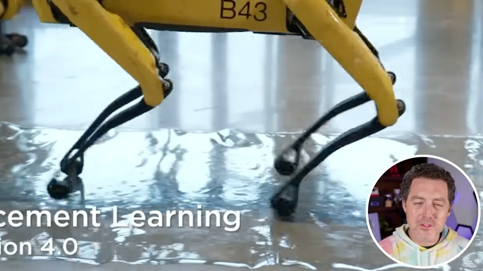 Spot on a slippery surface