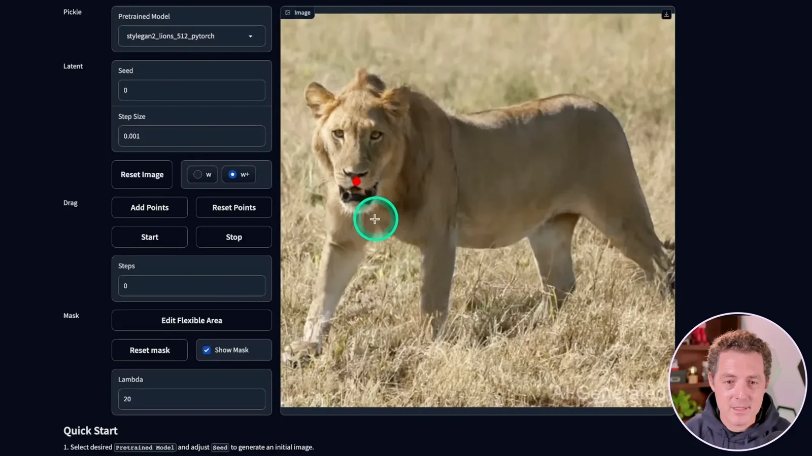 Dragging a point on the lion image