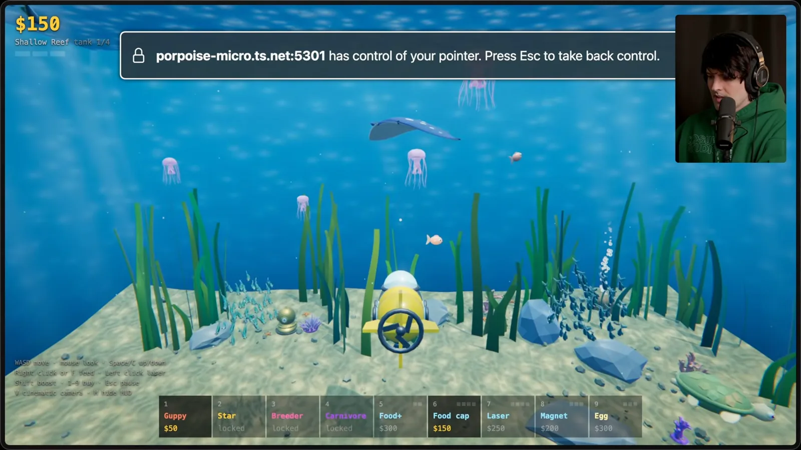 The 3D fish game