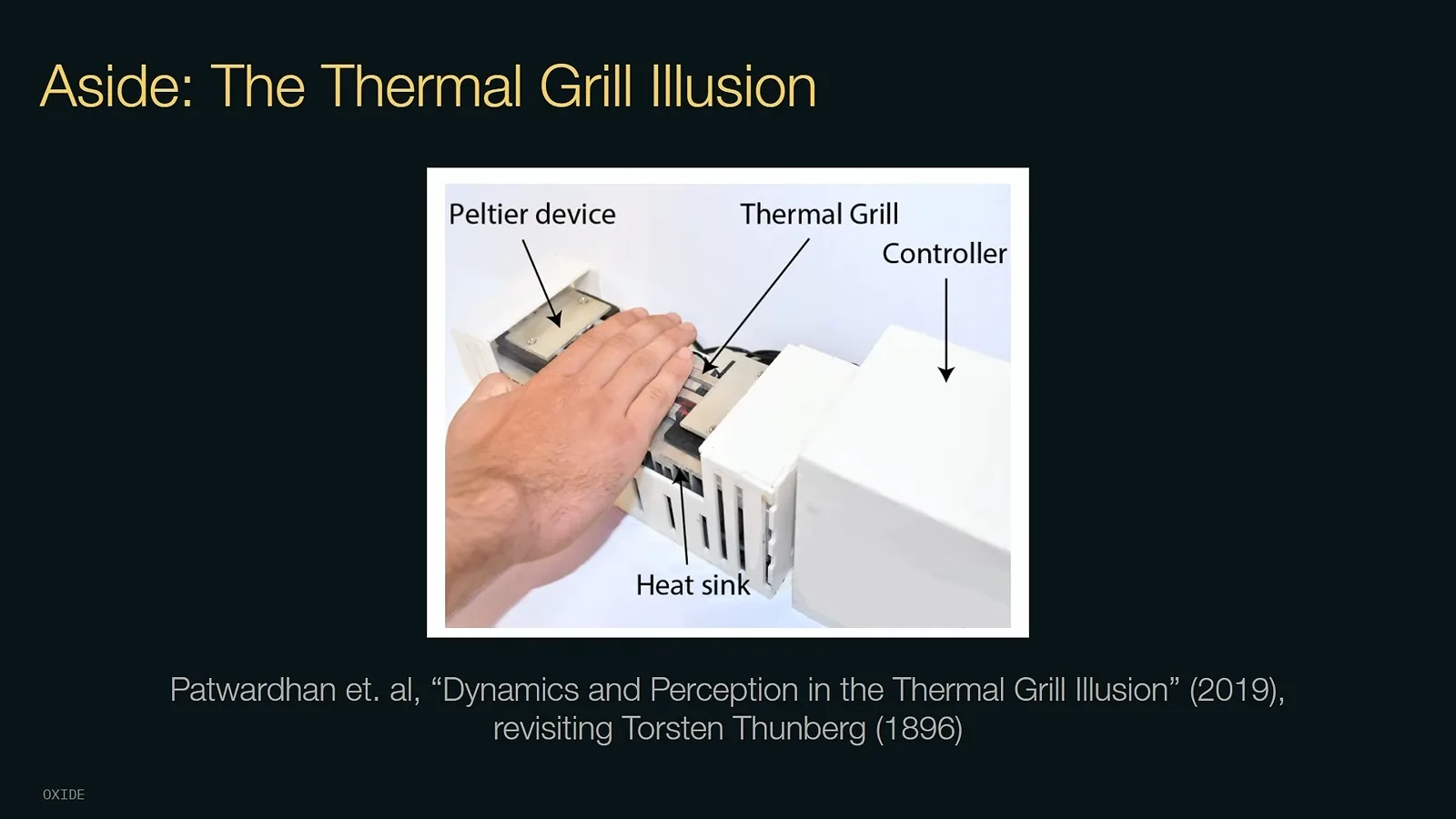 The thermal grill illusion